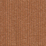 Cedar